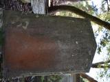 image of grave number 938225